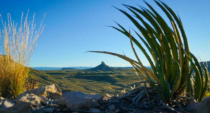 wilderness program for adults in texas